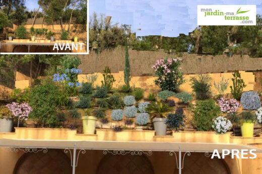 Landscaping a slope in a Mediterranean climate