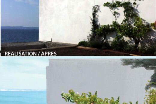 Dressing a wall with spray-resistant climbing plants by the sea