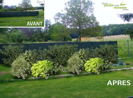 Create a living hedge in 3 minutes