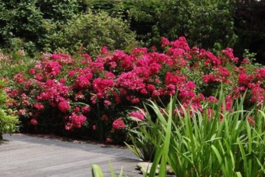 New partner: Décorosier