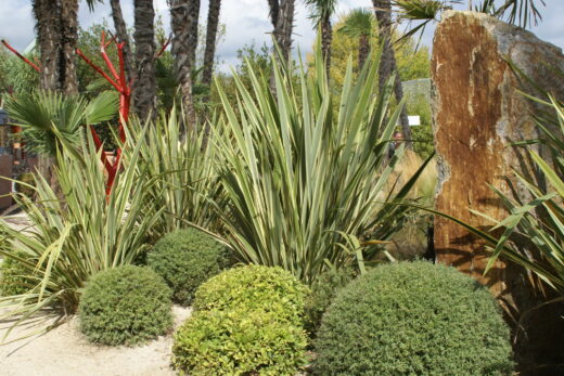 Launch of My Garden Designer