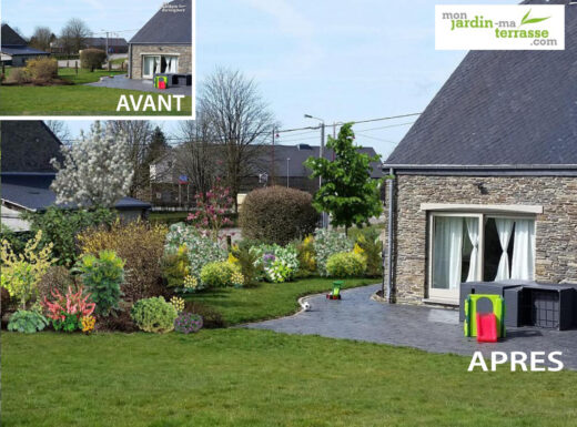 Creating a mixed evergreen hedge